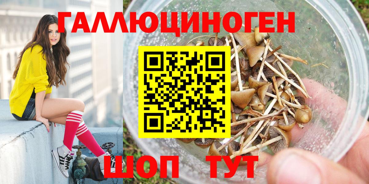Галлюциногенные грибы GOLDEN TEACHER Ртищево